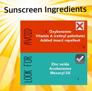 Sunscreen Ingredients